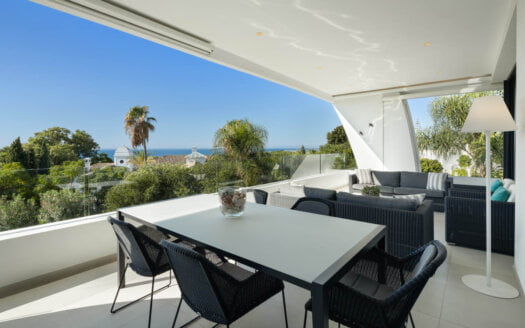 Exquisite Duplex Penthouse