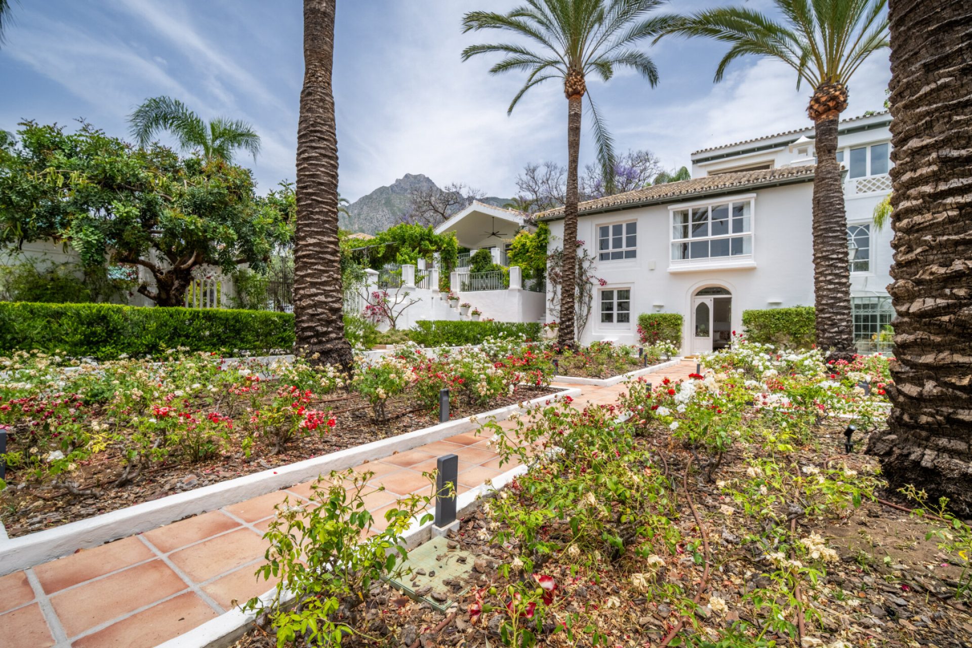 Sinfonia Vert — Sierra Blanca, Marbella